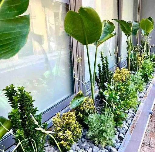 Demetra 1 Bdr Down Town Apartamento *